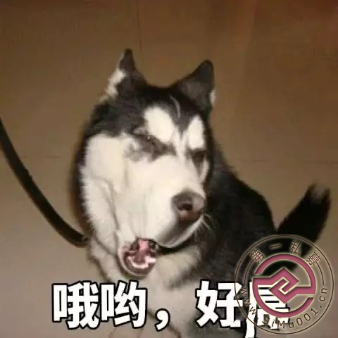 ҵѧƸ(ֱǩ)ְλ:У԰칫ҿԱҪ:λ-1.jpg