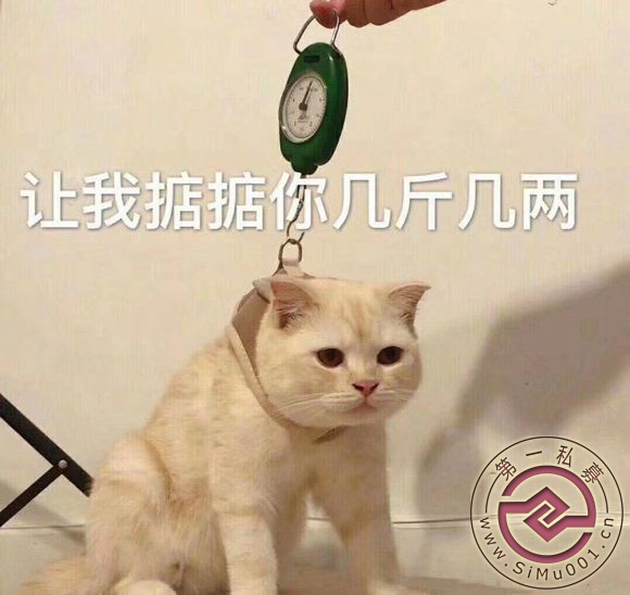۵ţ?-1.jpg