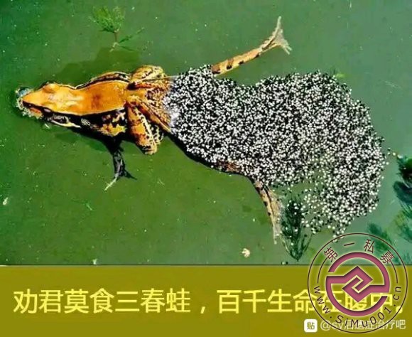 ڽɱط!,ط,!ж-6.jpg