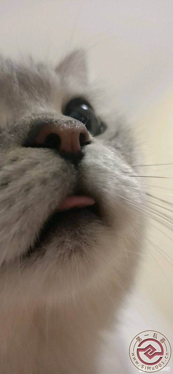 Ǹ,˴ҹ˶ŷ,,ɶҲǡ-2.jpg
