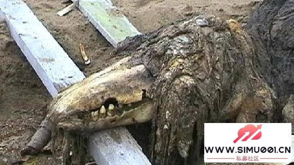 SCP-682ʷرжһ£-2.jpg