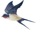 ɨ 簲ȫ-20.jpg