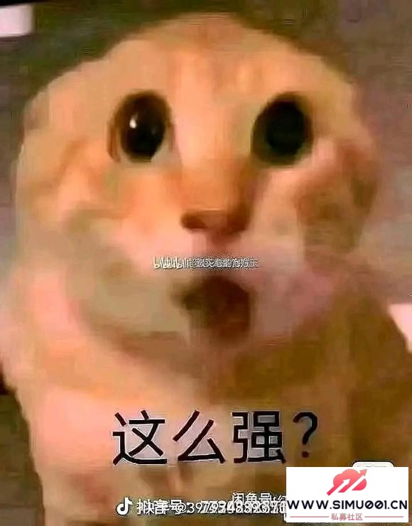 ˹δè䡷ؼ-1.jpg