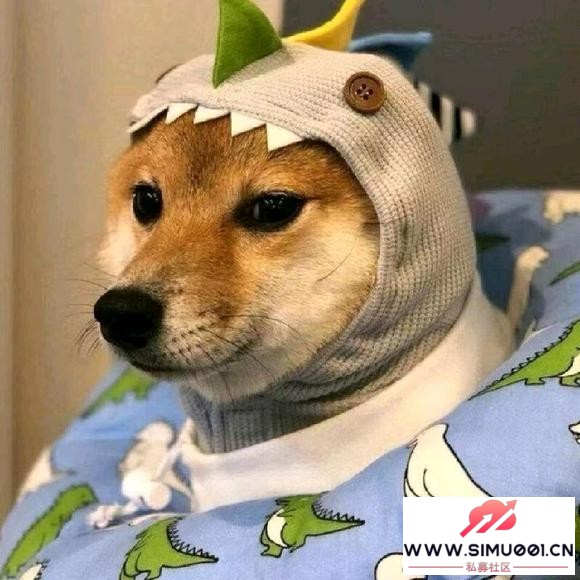 񹫸棺鲨ϴλ²ˡʿ侲-1.jpg