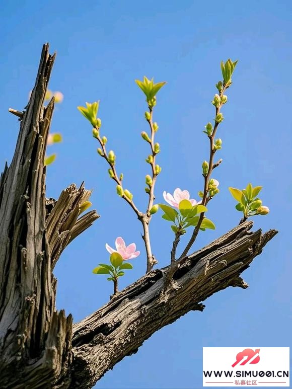 ڵпɺϷ-1.jpg