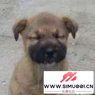 ϸǿ˲8k-1.jpg