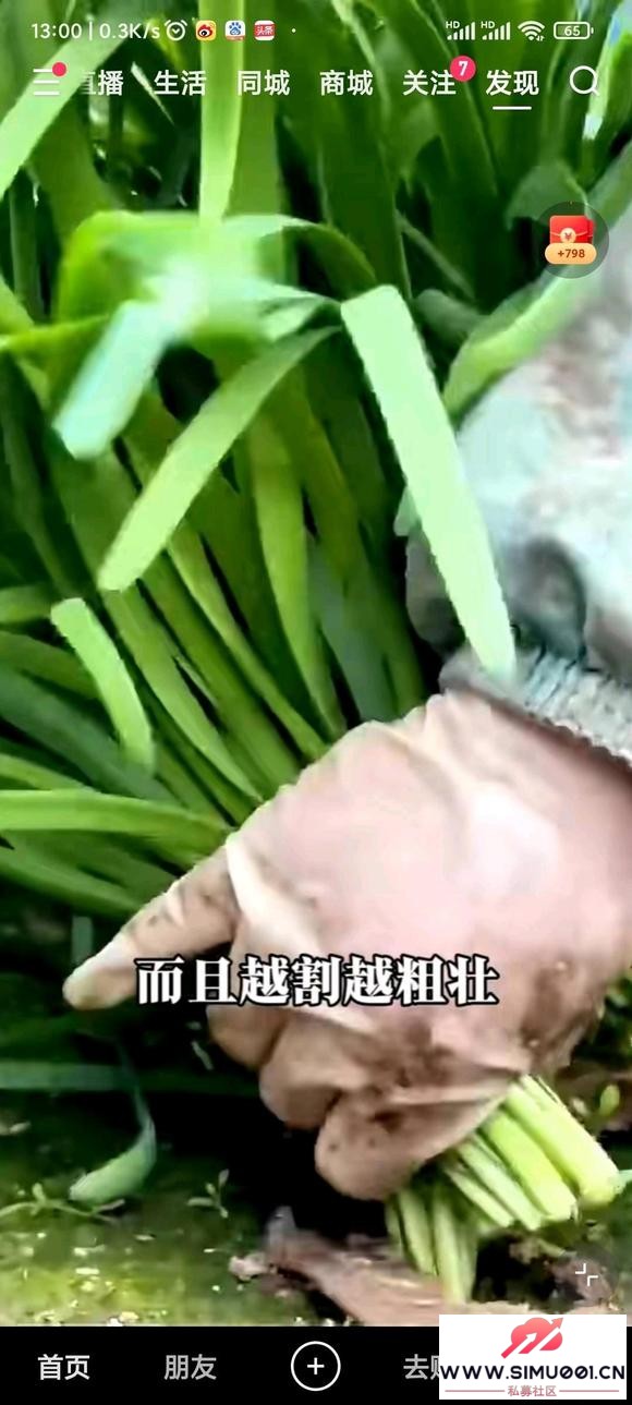 ַֻ-6.jpg