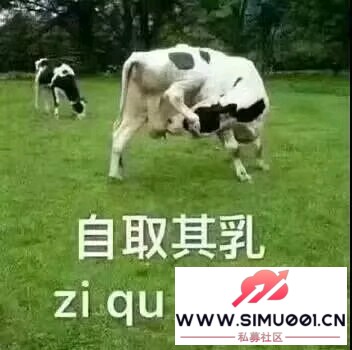 2+2Ҫ׶ô-1.jpg
