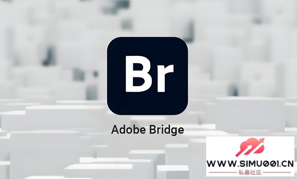 Adobe Bridge 2025 mac/win棺Ӿݼ-1.jpg