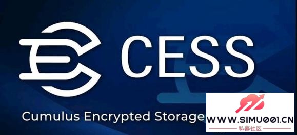 CESSwww.cessnetwork.com-1.jpg