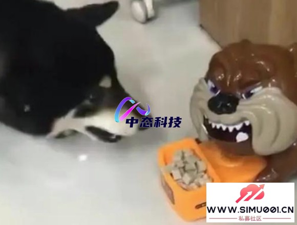 ̬ƼôĶҵ-1.jpg