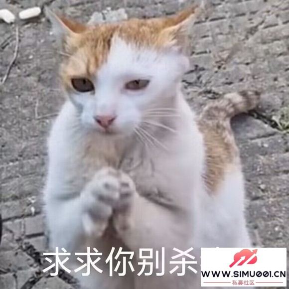Ϊʲôսְ汾-2.jpg
