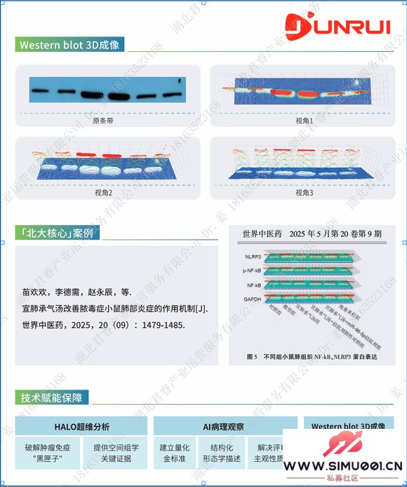 Ȼ걨-2.jpg