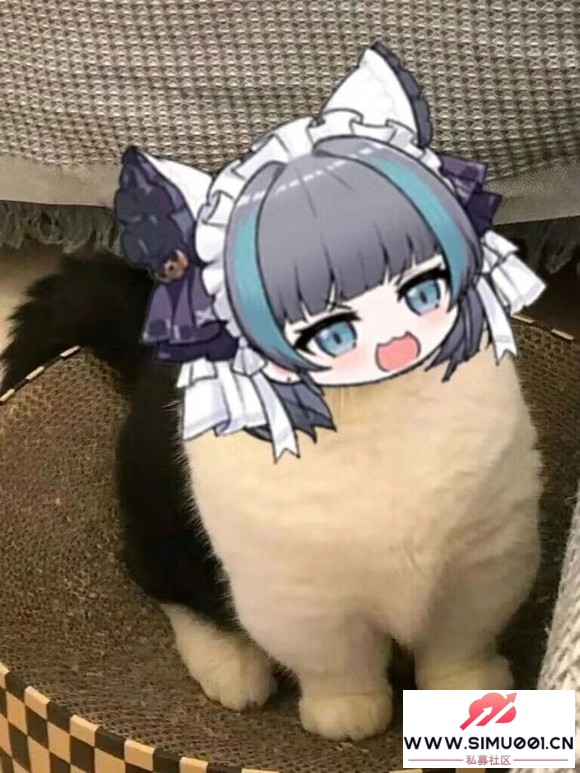 PVEҵֿҳǲֻҪTHICCƷͿˣ-1.jpg