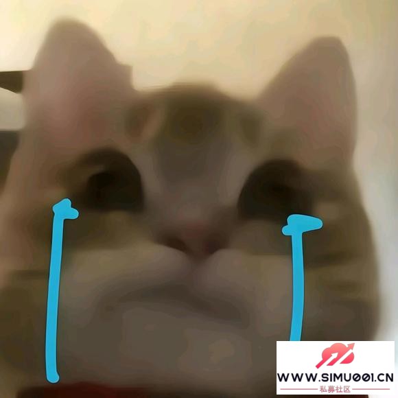 ϸǣ²ұƭ18ô찡-1.jpg