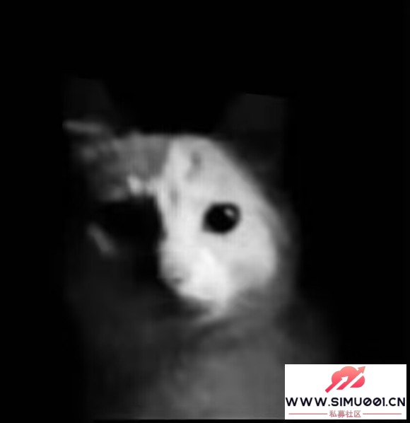 Сͷشͷˣĸ-1.jpg