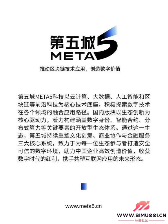 Meta5-1.jpg