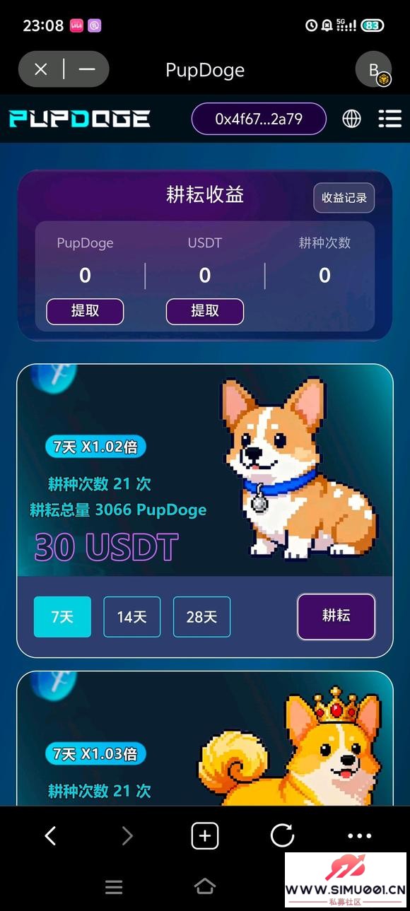 pupdogeͶ-1.jpg