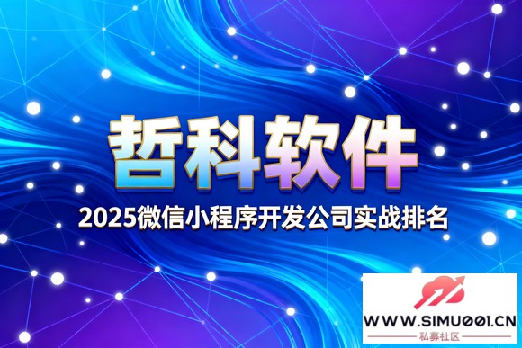 2025΢С򿪷˾ʵս5Ҷ⼼ŶӶԱ-1.jpg