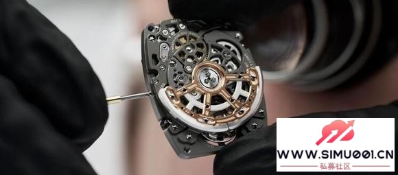 ػÿһ̣RICHARD MILLE׶Ʒۺϵ-2.jpg