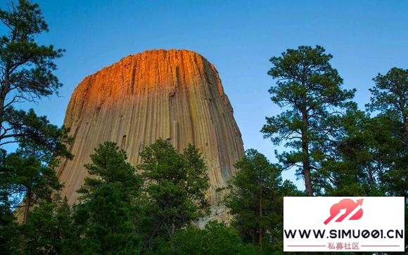 瑞博西尼印度老挝药代购渠道推荐?-1.jpg 瑞博西尼印度老挝药代购渠道推荐?-1.jpg