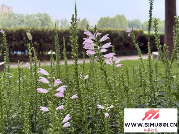 盈利的秘诀不是胜率!-1.jpg 盈利的秘诀不是胜率!-1.jpg