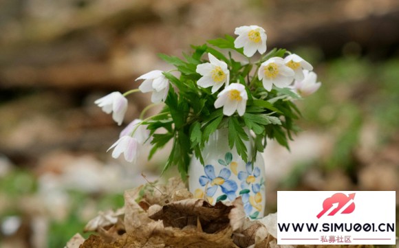 Ĵ APP Ĳ컯ƾ֮·-1.jpg