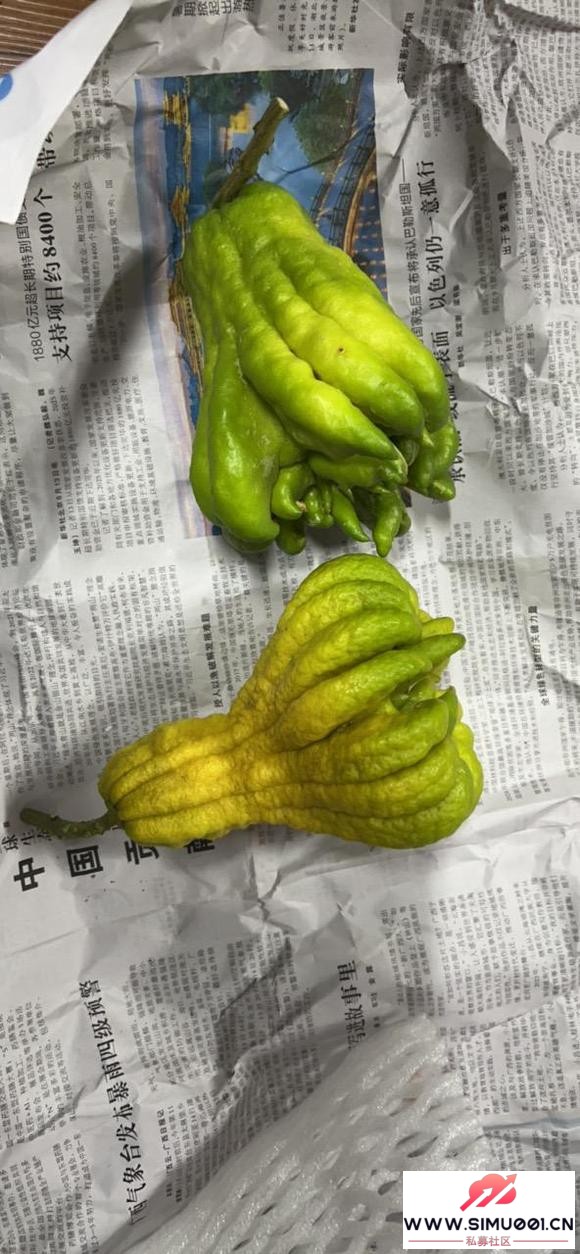 ����С�� �����ݲ� �칫�ҵ��ճ�-9.jpg