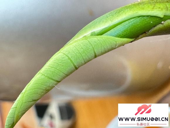 ����С�� �����ݲ� �칫�ҵ��ճ�-1.jpg