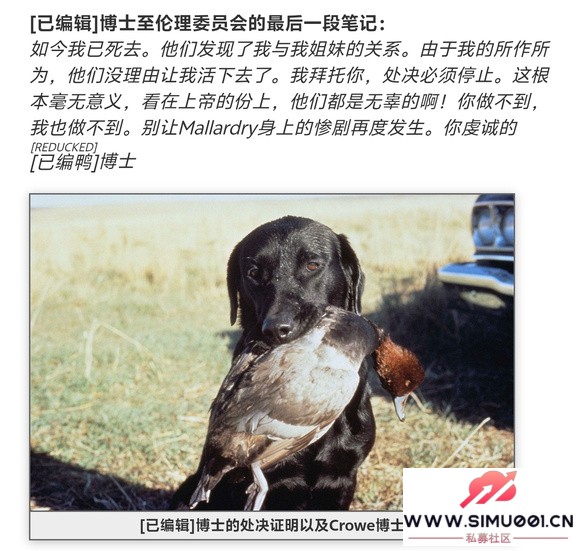 ����Rxsend �������ɫ����Դ-1.jpg