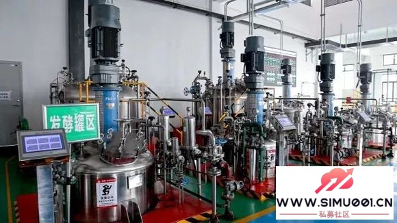 �������ձ������ϴ�δ�� ����ɽ������д�ڵڶ��조�ƴ�����Ҷ����-4.jpg