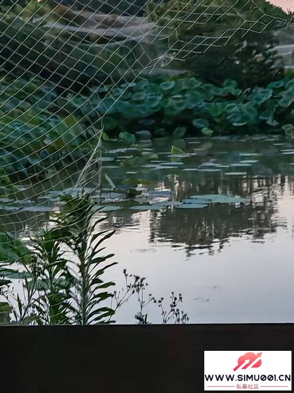 ���ռ������� ��Ǩ�������͸��� ���ο̲���ů��-3.jpg