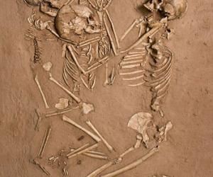 撒哈拉沙漠发现5000年前人骨 证明曾是绿洲(图)